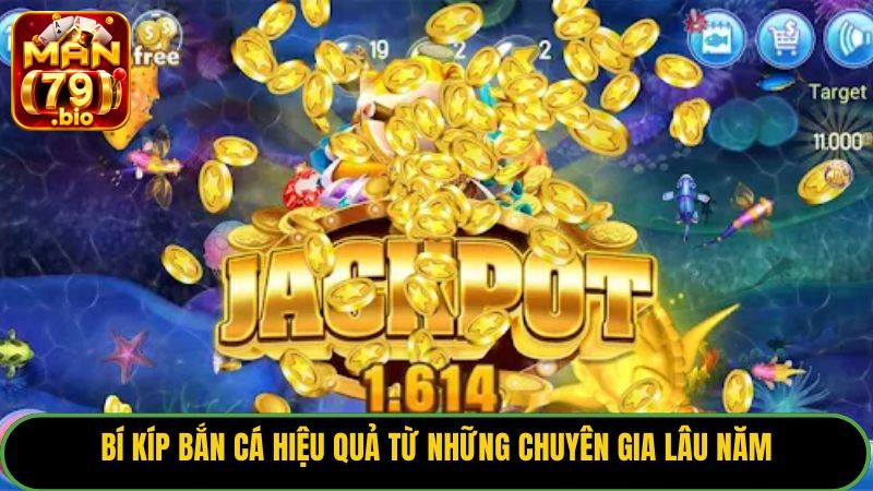 Bí kíp bắn cá hiệu quả từ những chuyên gia lâu năm.