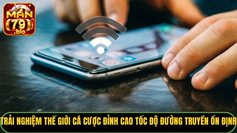 Trải nghiệm thế giới cá cược đỉnh cao với tốc độ đường truyền ổn định.