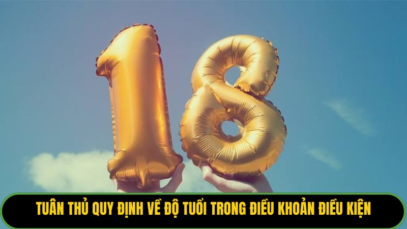 Tuân thủ quy định về độ tuổi và tính chính chủ trong điều khoản điều kiện.